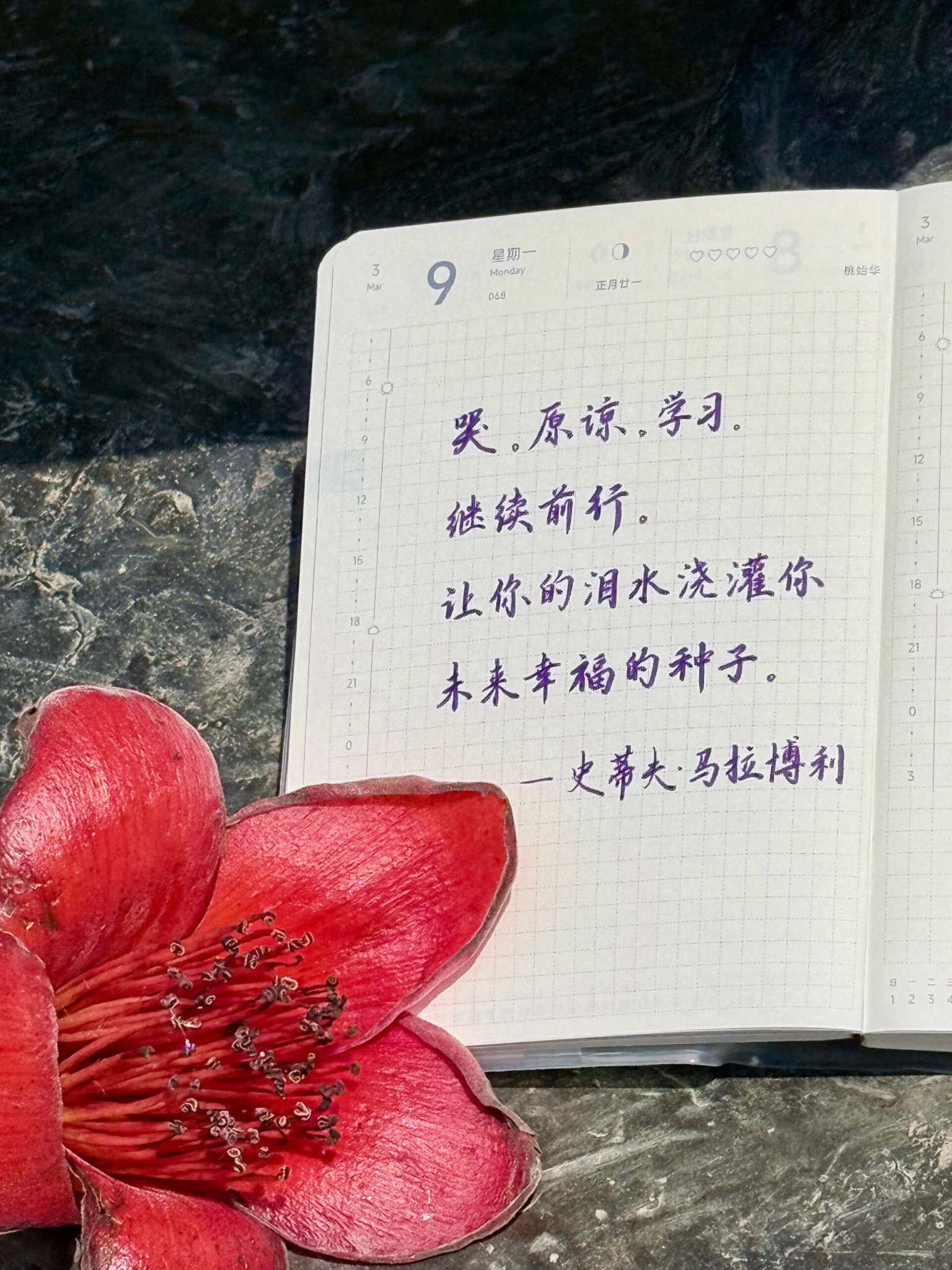 自在手帐2026年3月9日