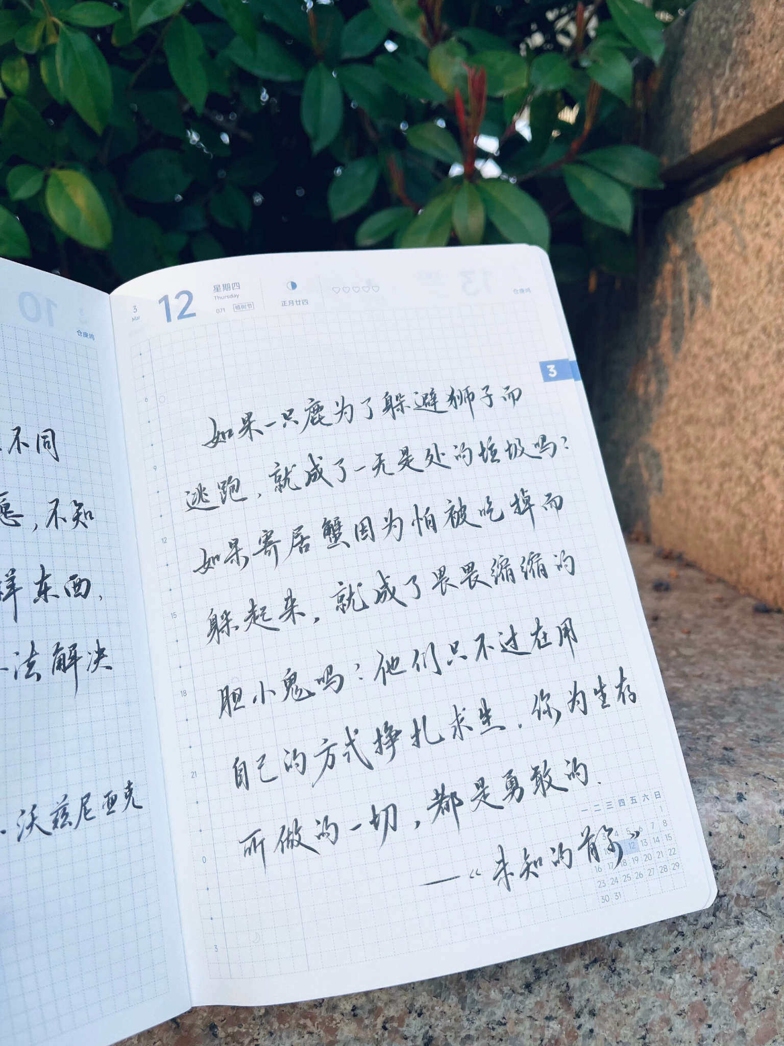 自在手帐2026年3月12日