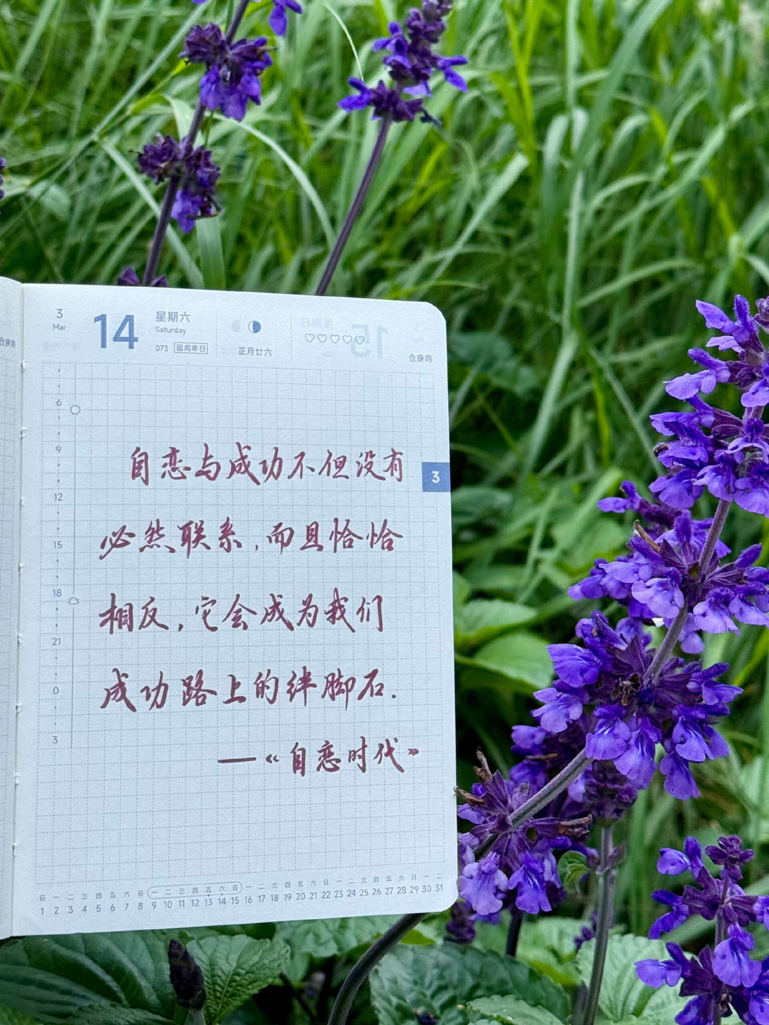 自在手帐2026年3月14日