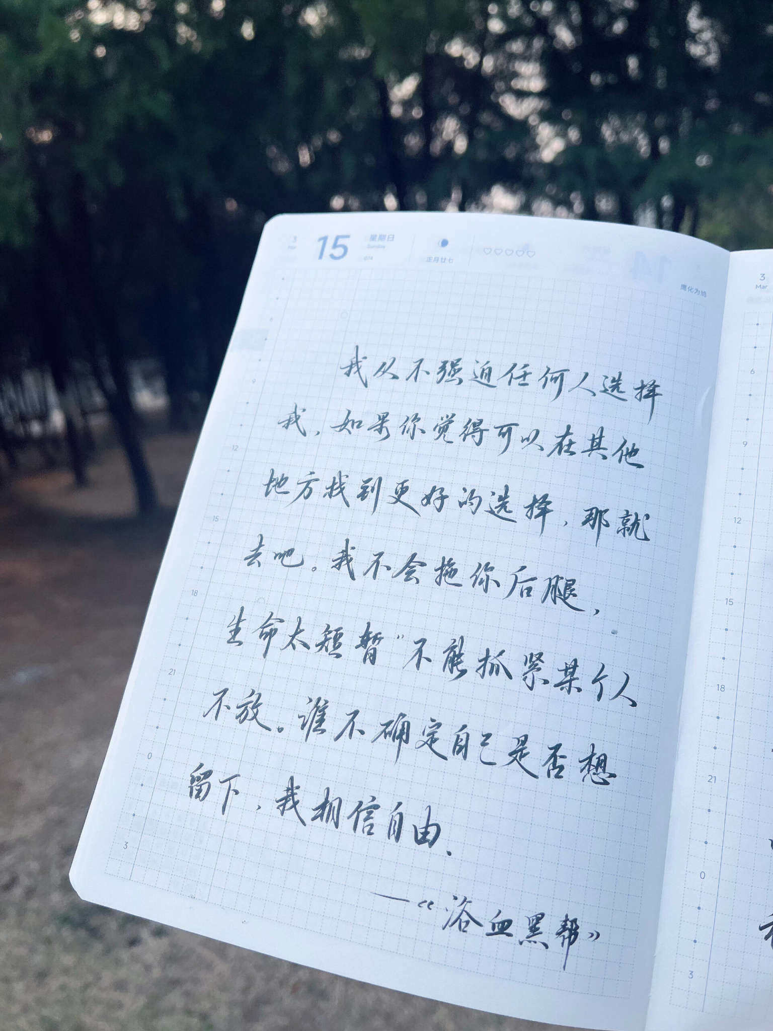 自在手帐2026年3月15日