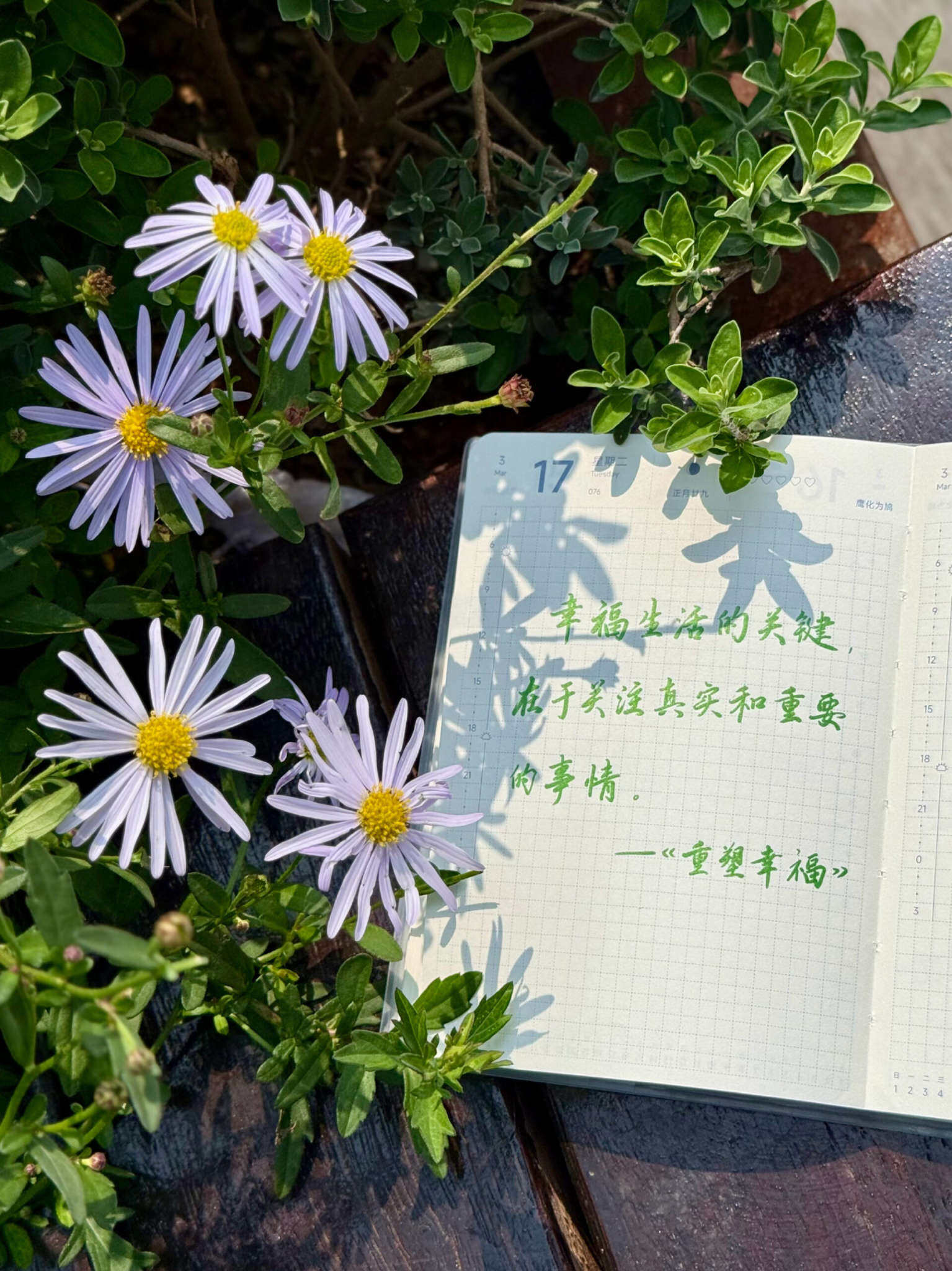 自在手帐2026年3月17日