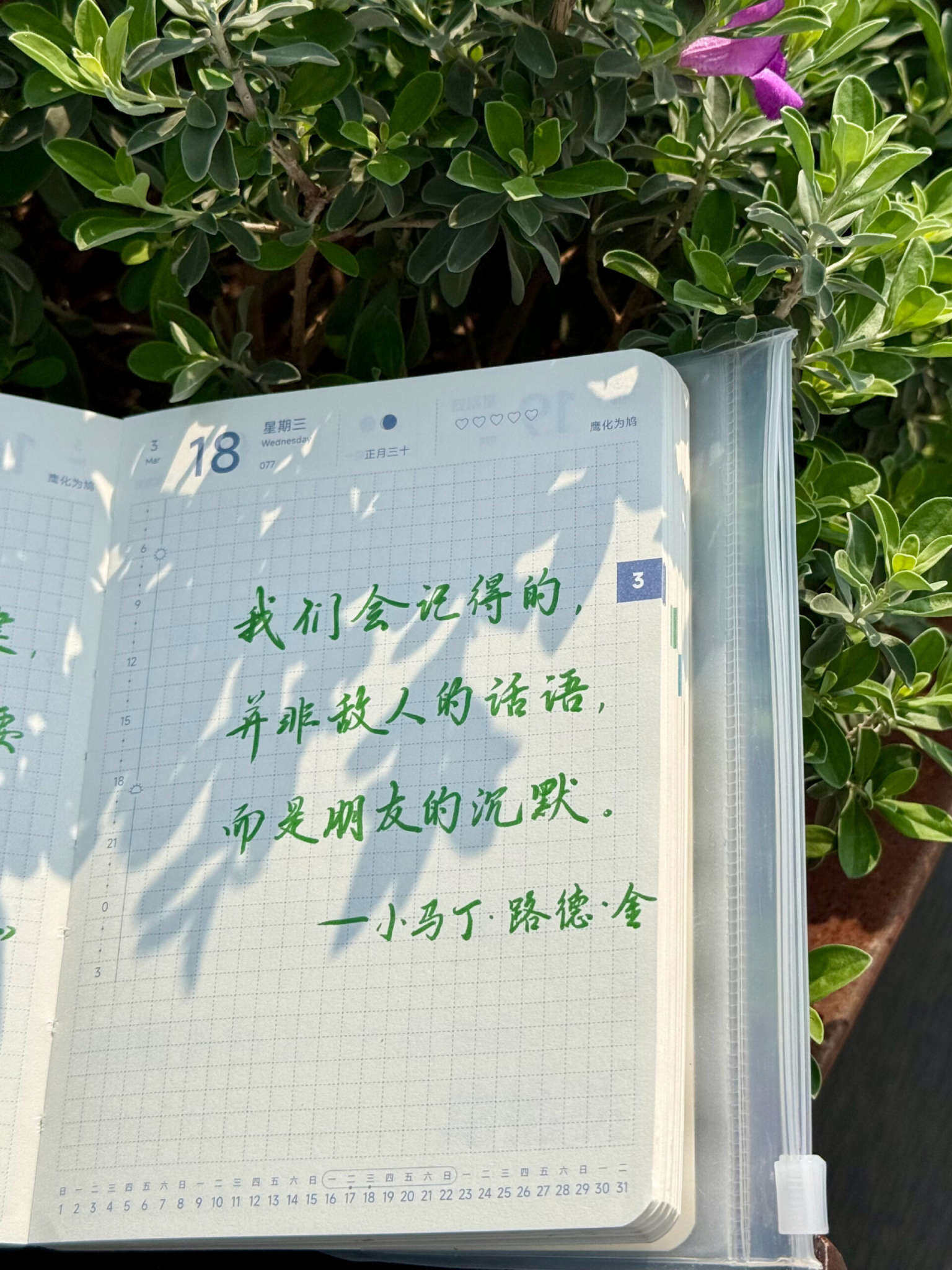 自在手帐2026年3月18日