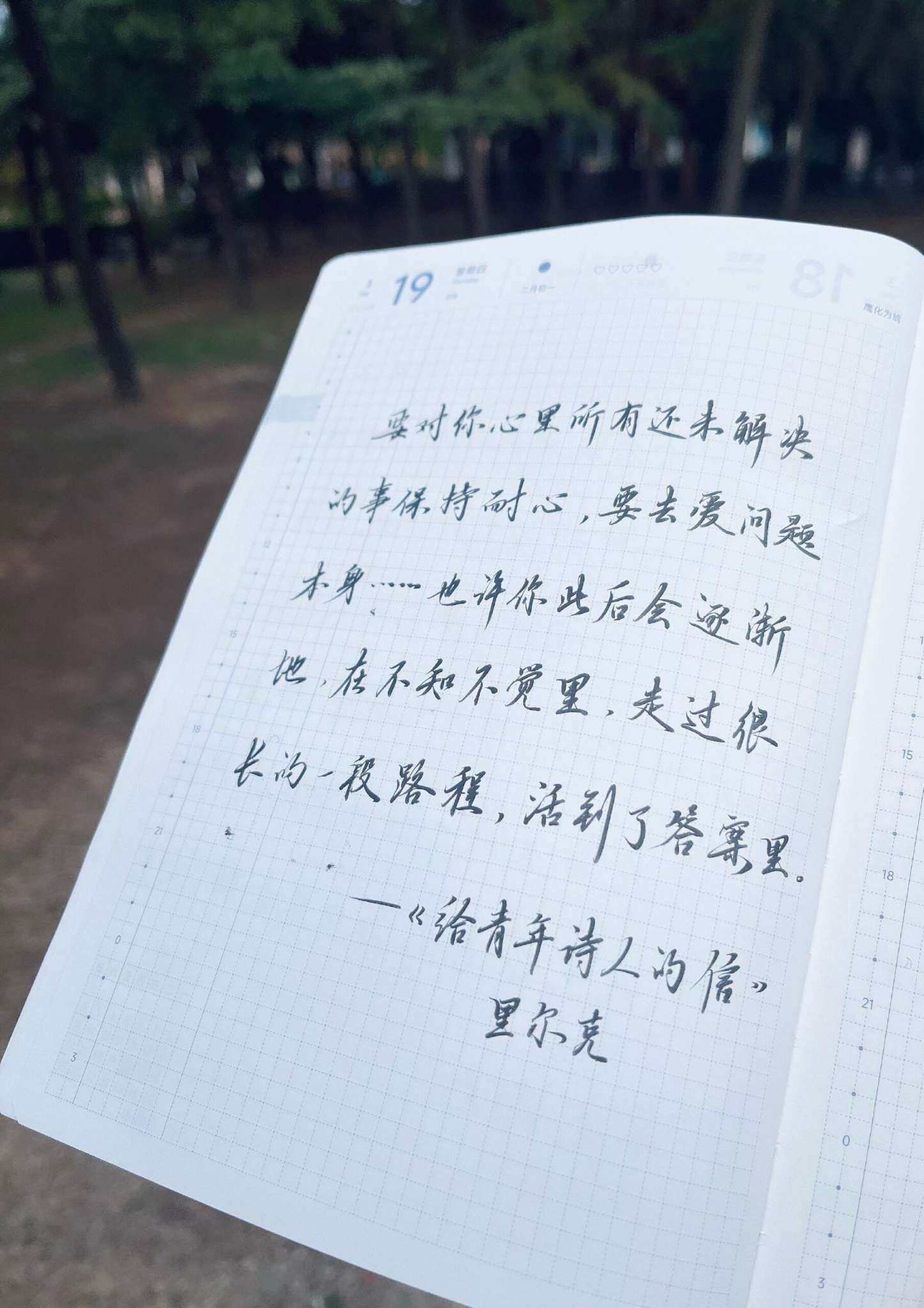 自在手帐2026年3月19日