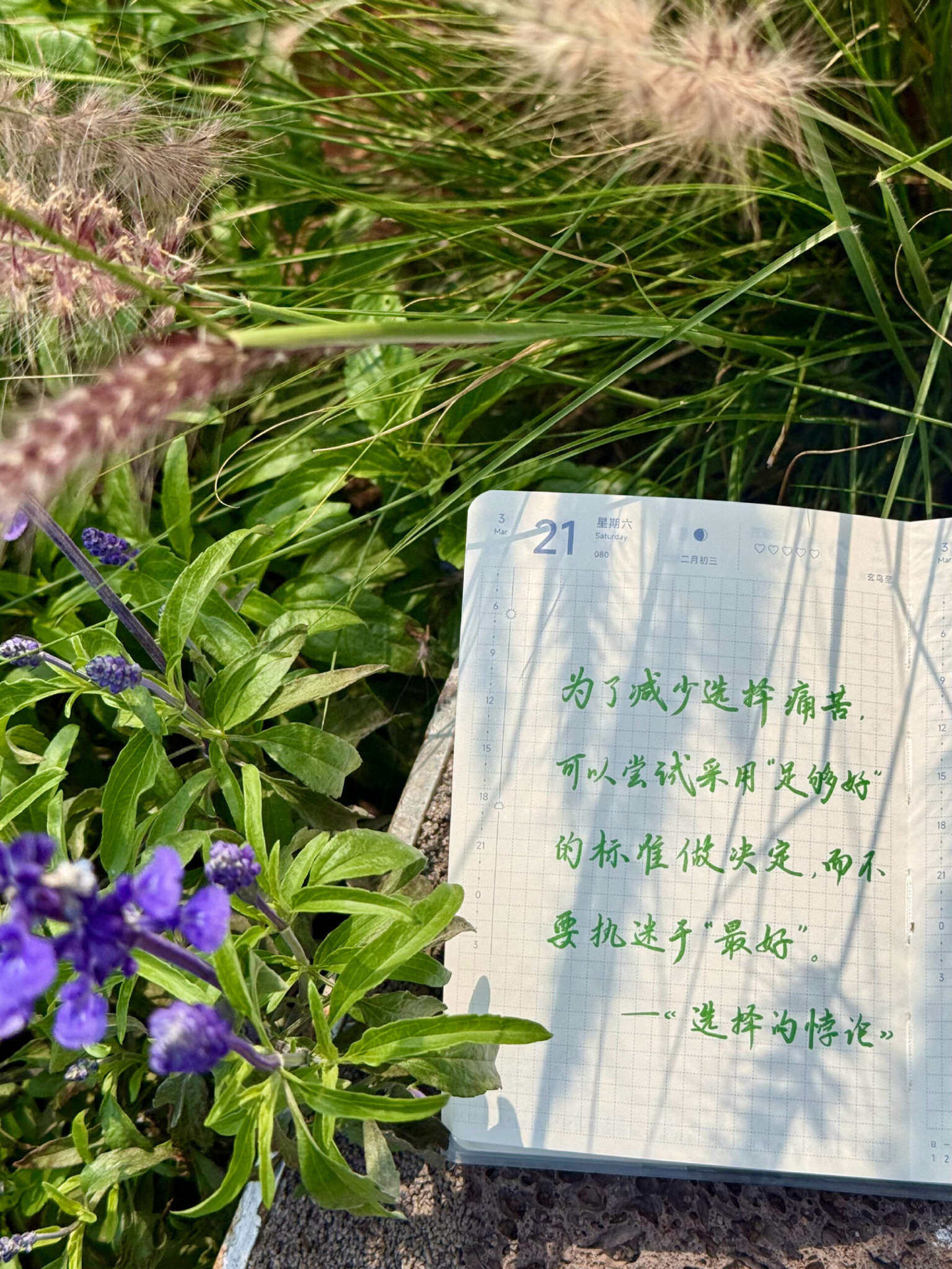 自在手帐2026年3月21日
