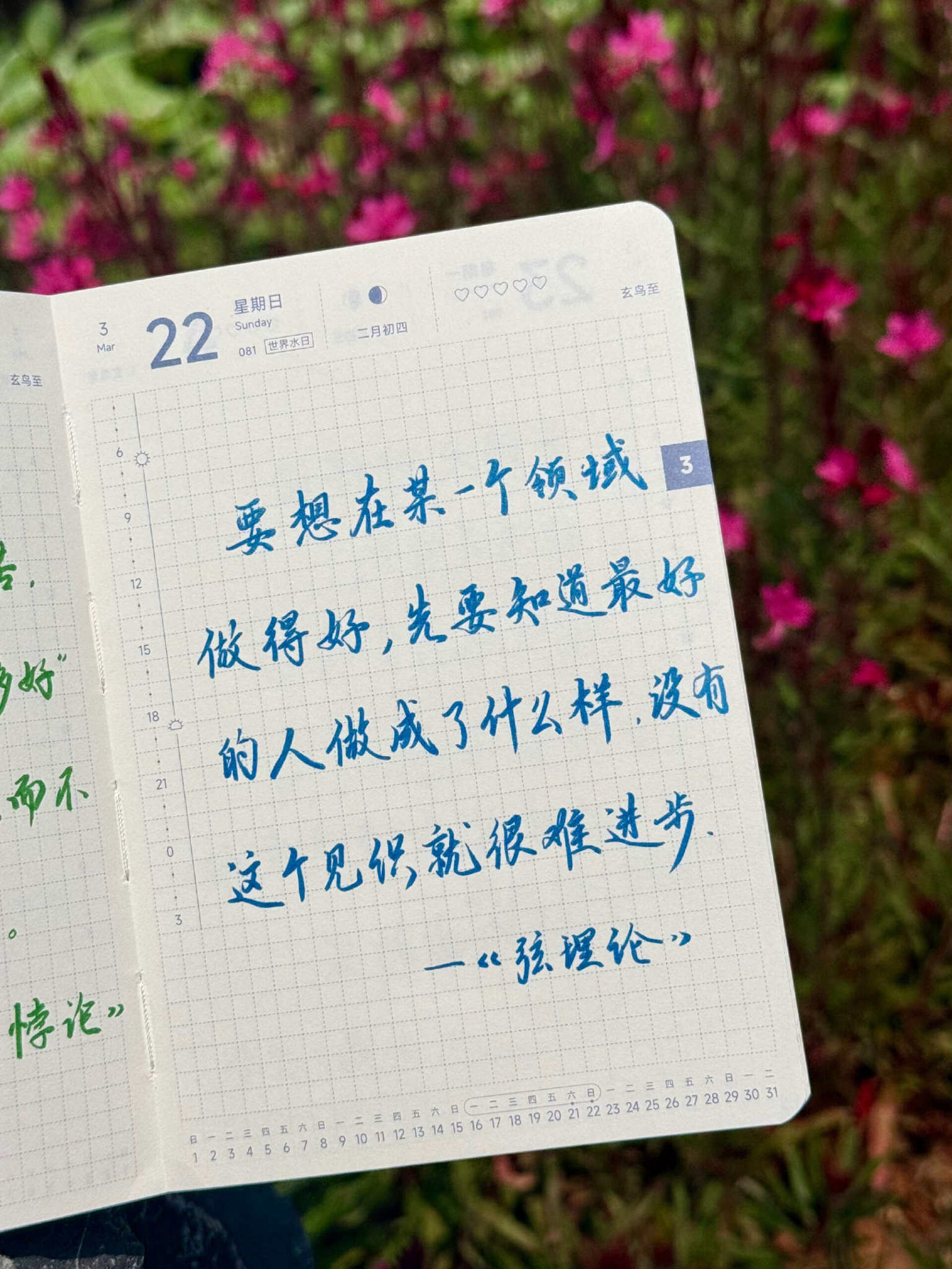 自在手帐2026年3月22日