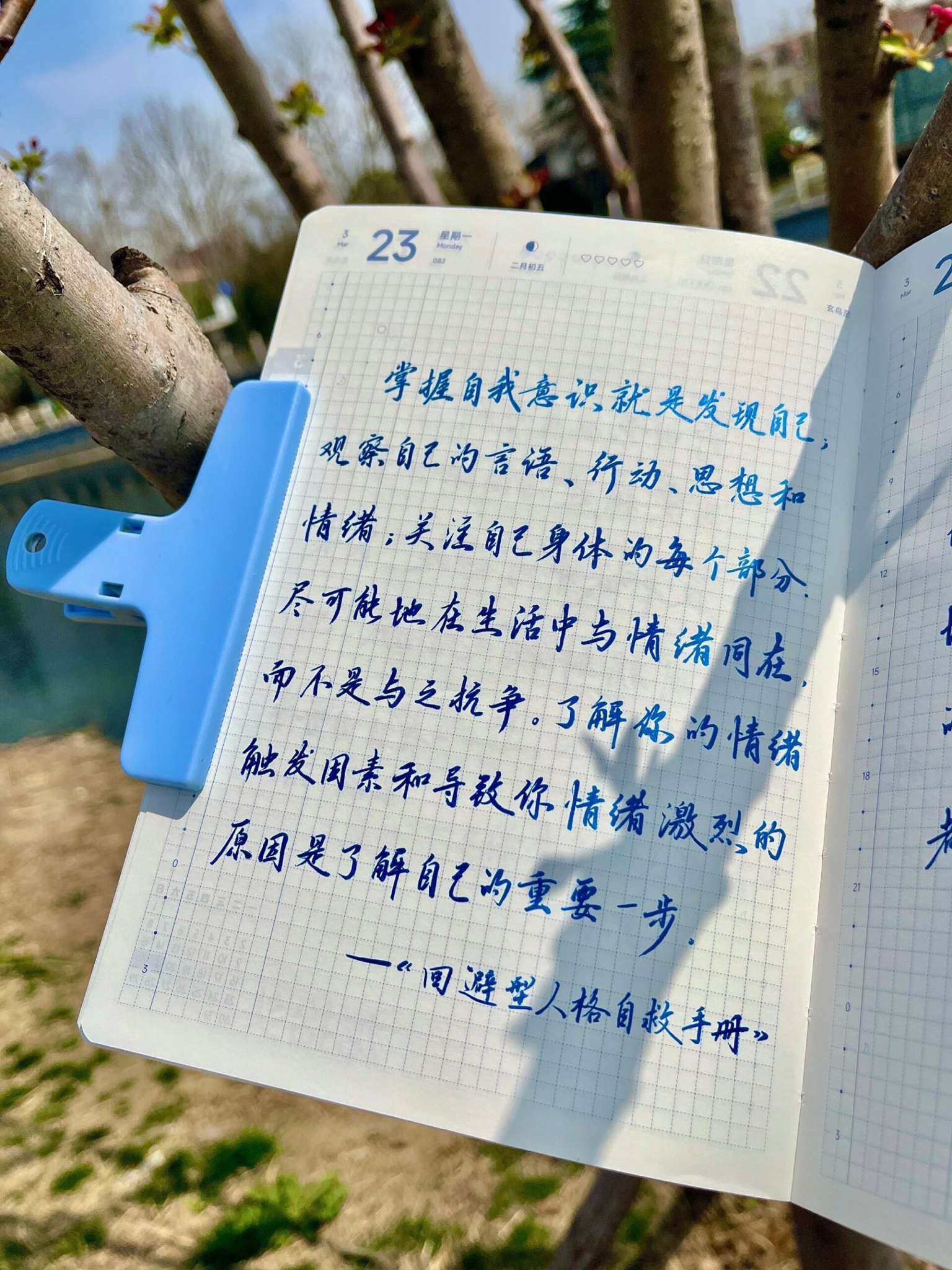 自在手帐2026年3月23日