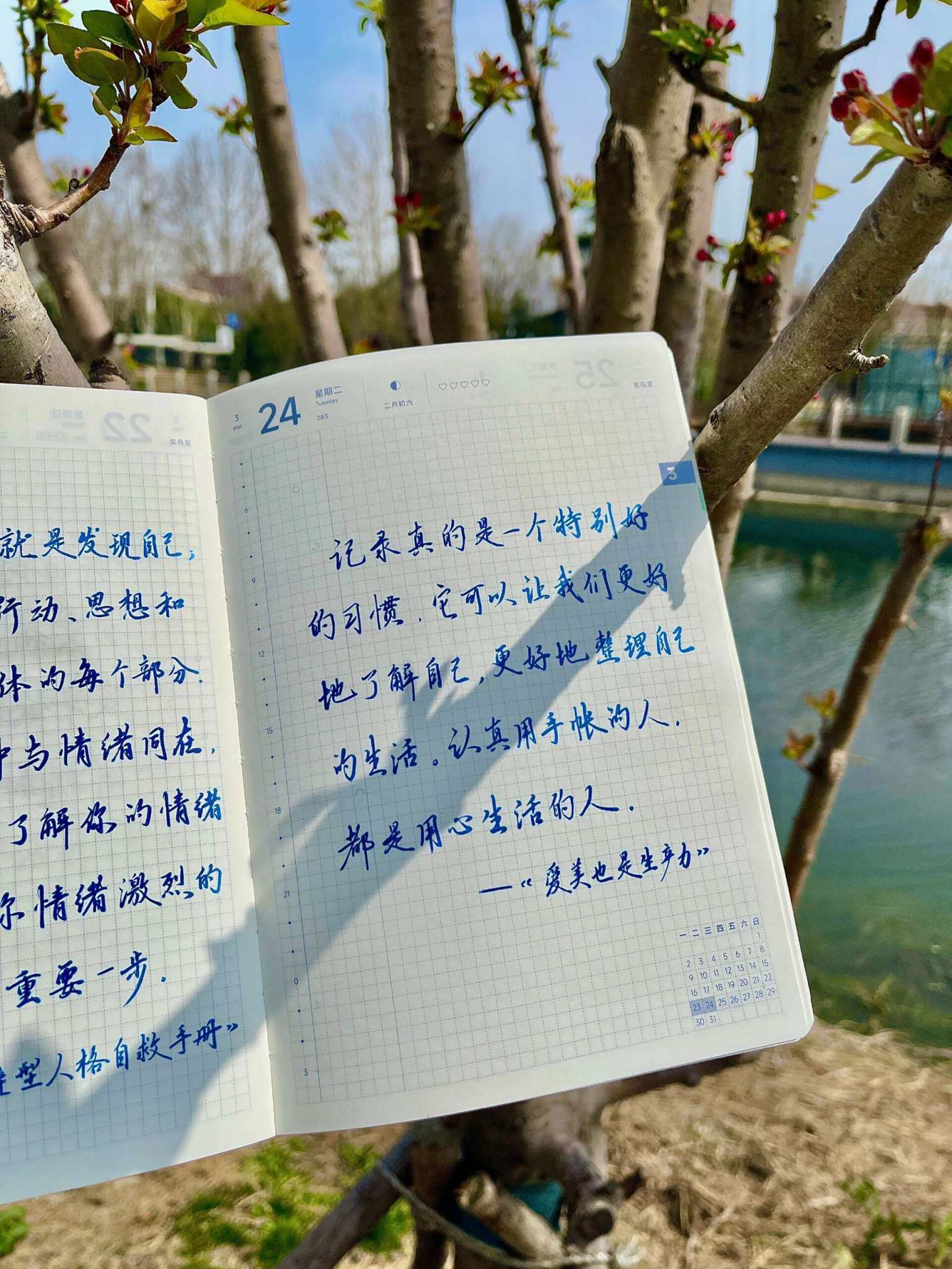自在手帐2026年3月24日