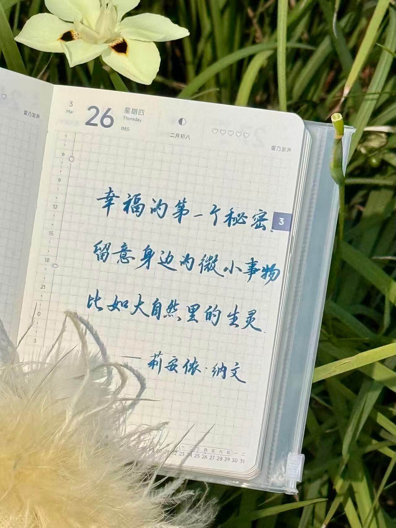 自在手帐2026年3月26日