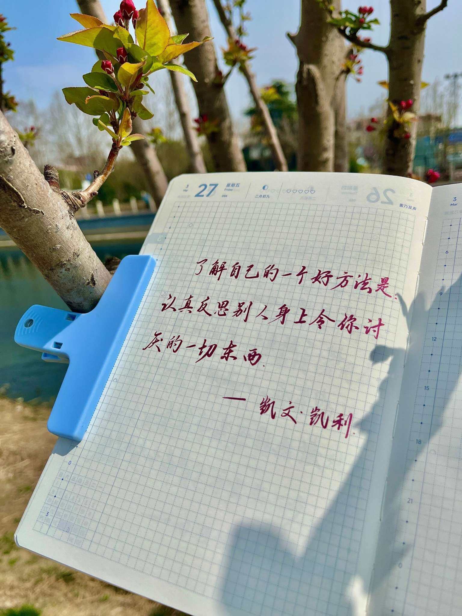 自在手帐2026年3月27日