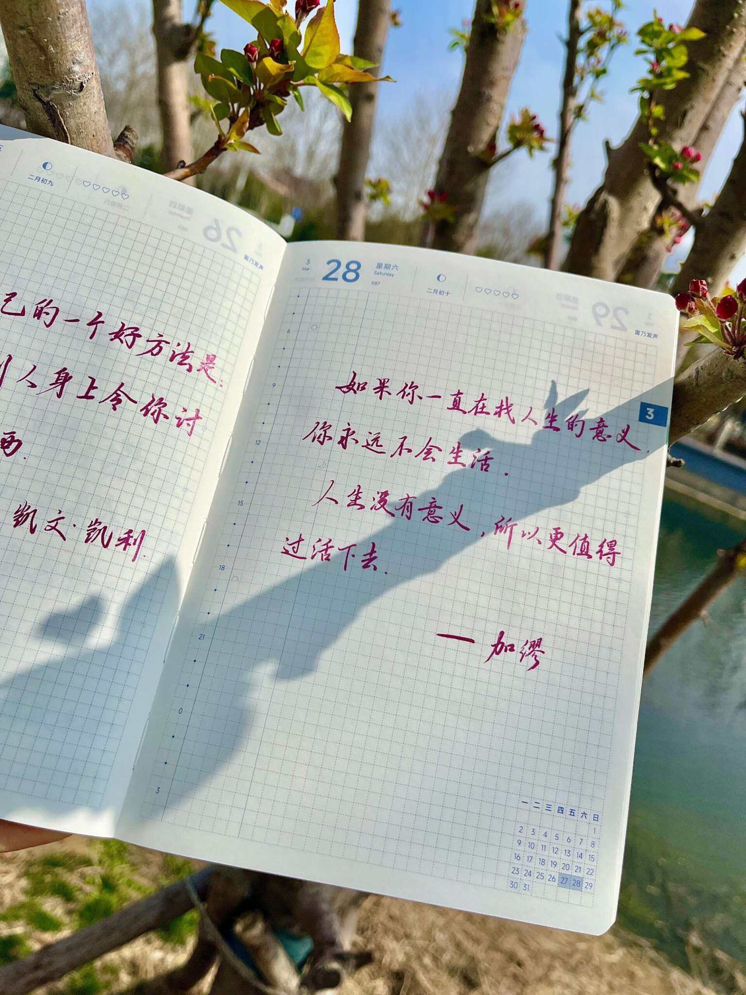 自在手帐2026年3月28日
