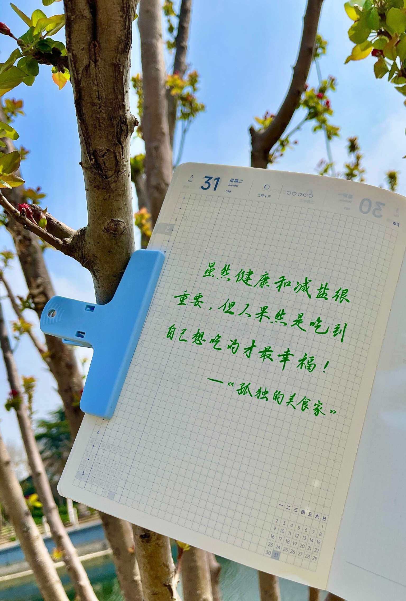 自在手帐2026年3月31日