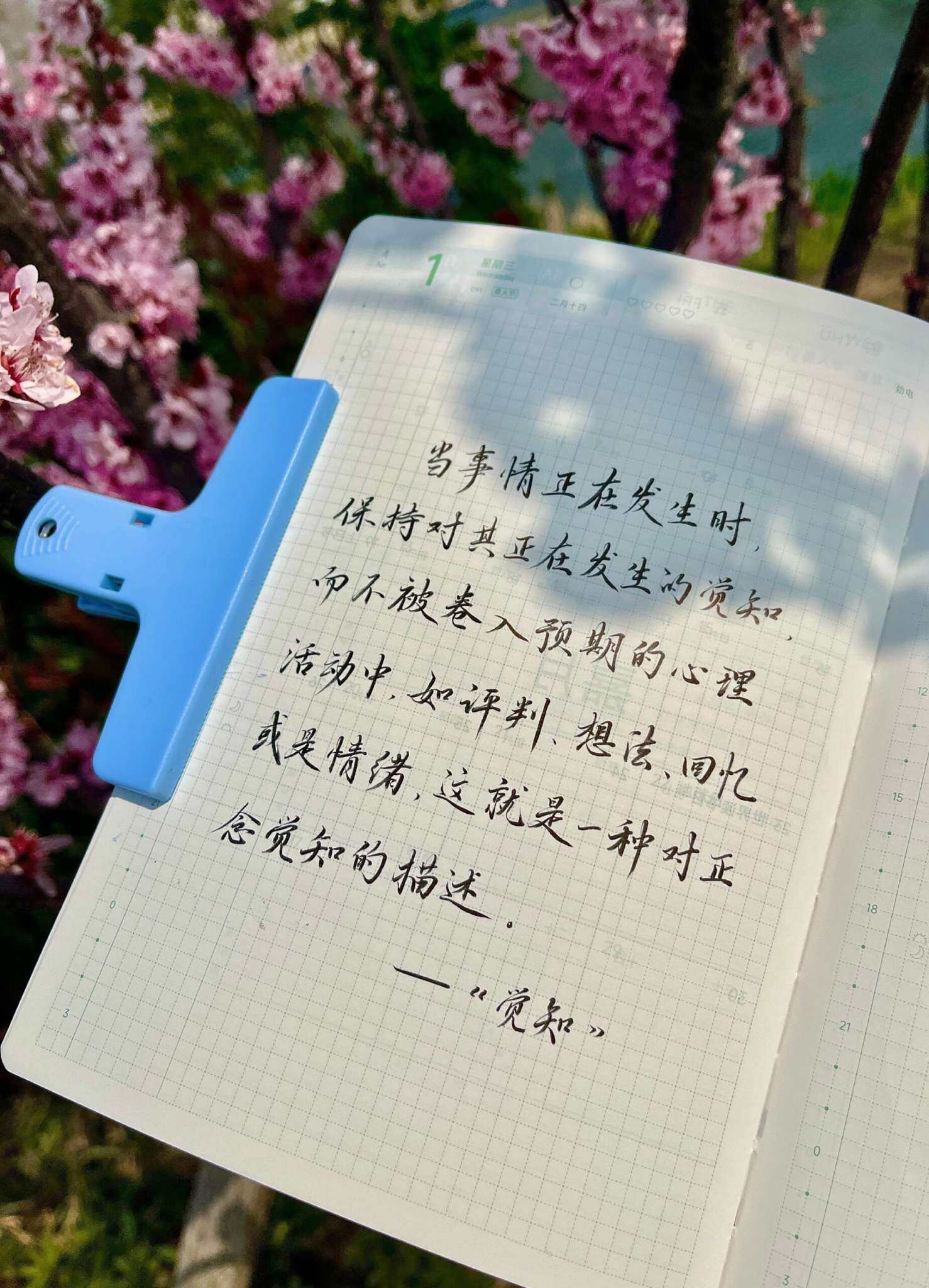 自在手帐2026年4月1日