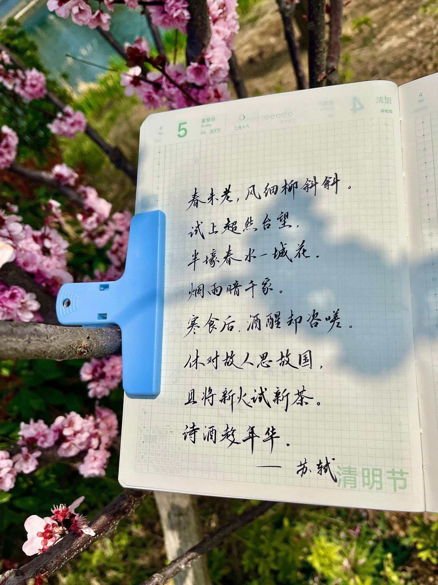自在手帐2026年4月5日