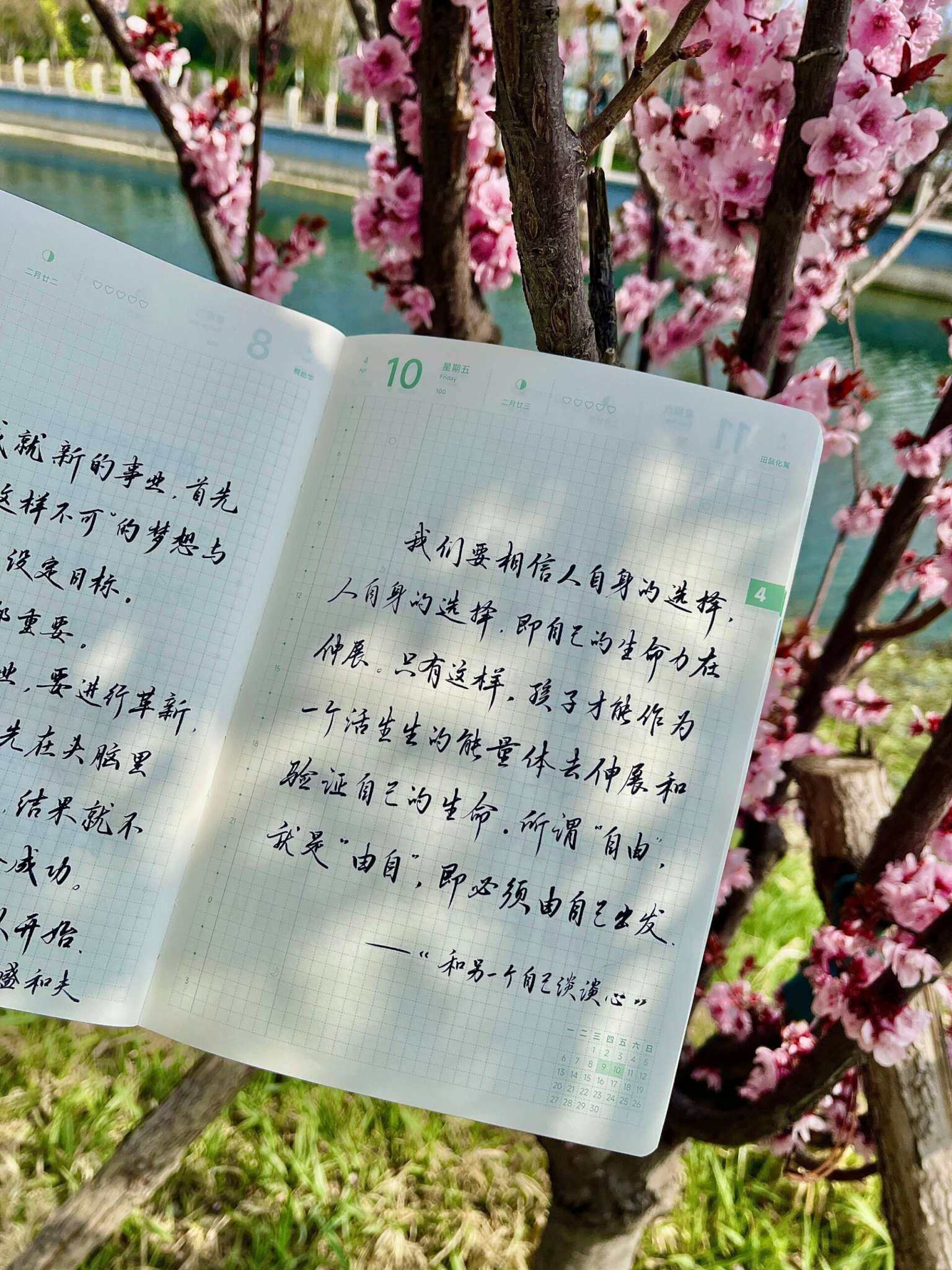 自在手帐2026年4月10日