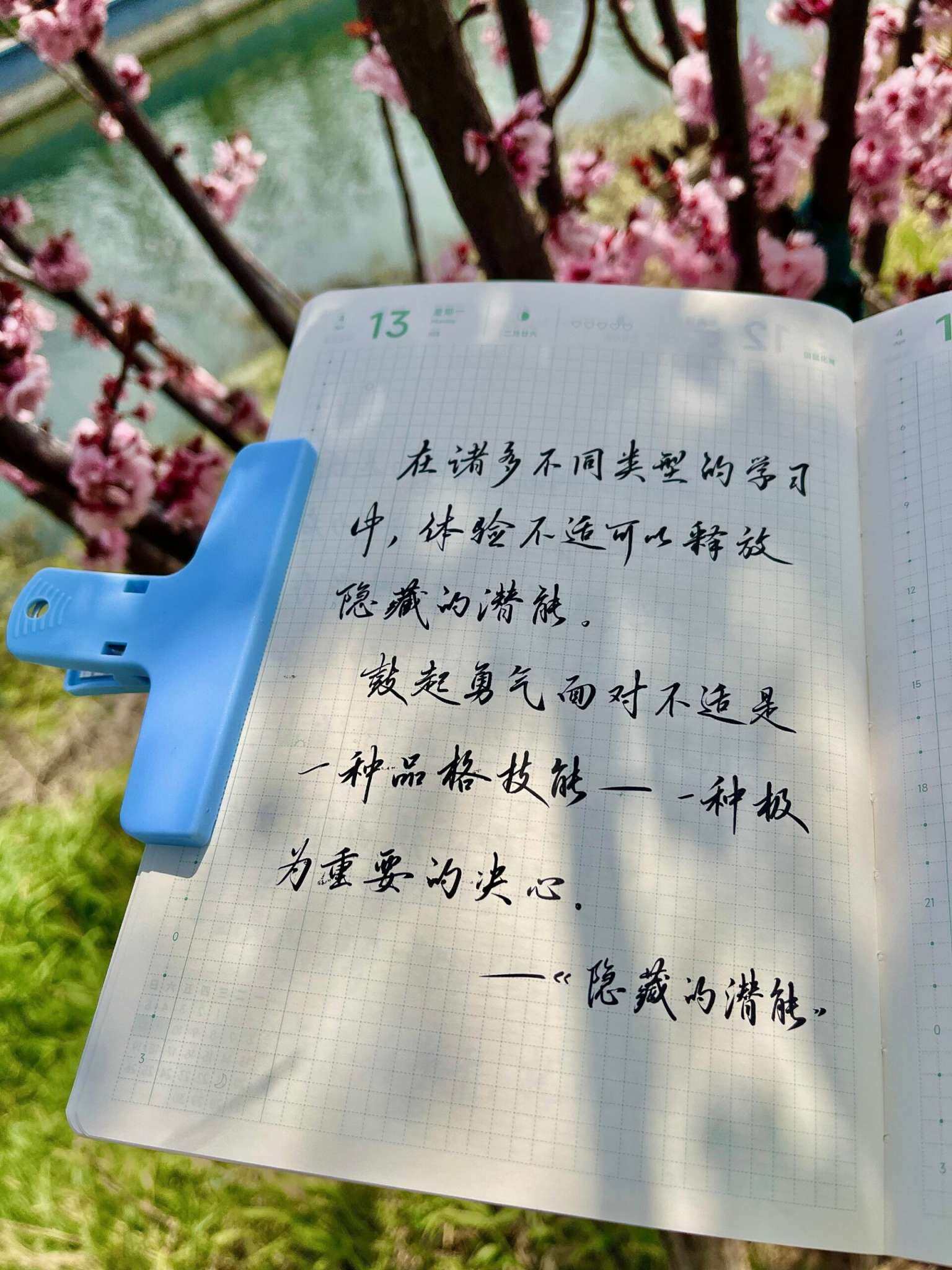 自在手帐2026年4月13日