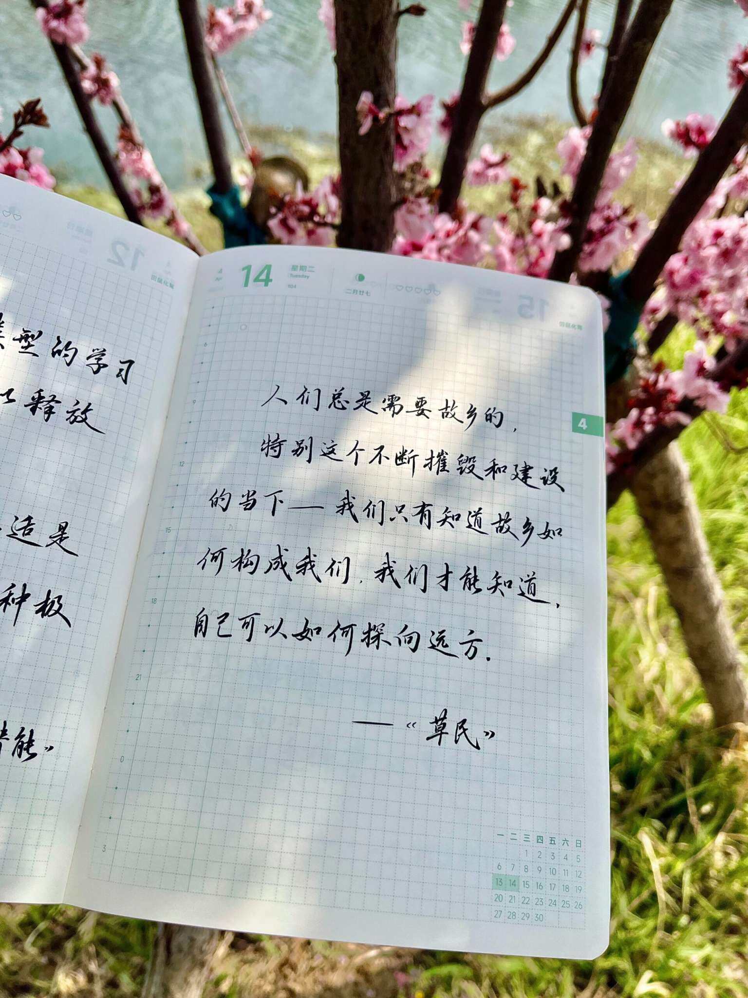 自在手帐2026年4月14日