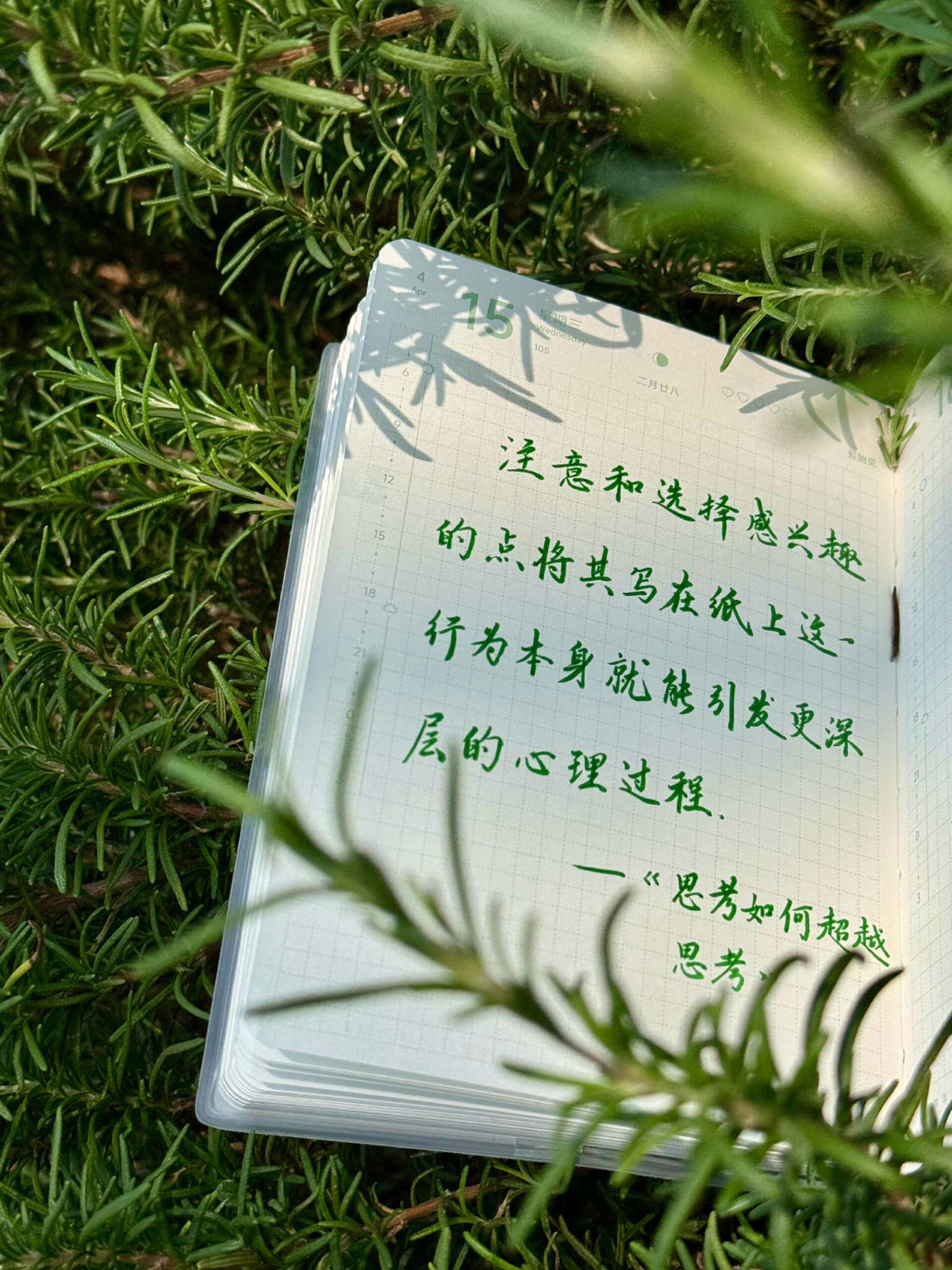 自在手帐2026年4月15日