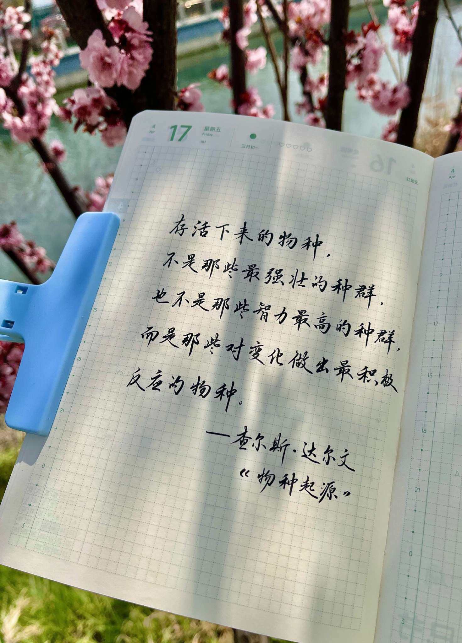 自在手帐2026年4月17日