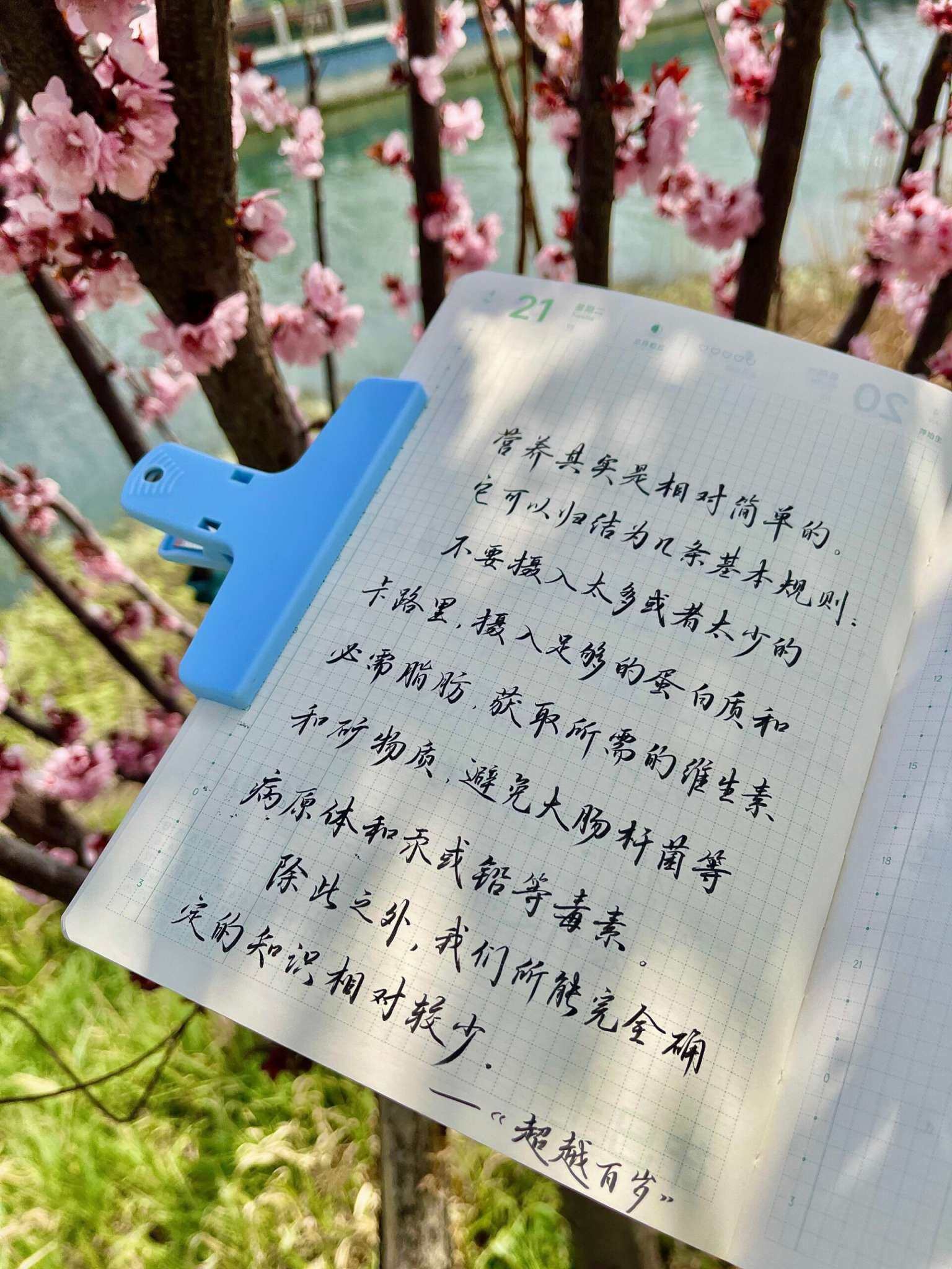 自在手帐2026年4月21日