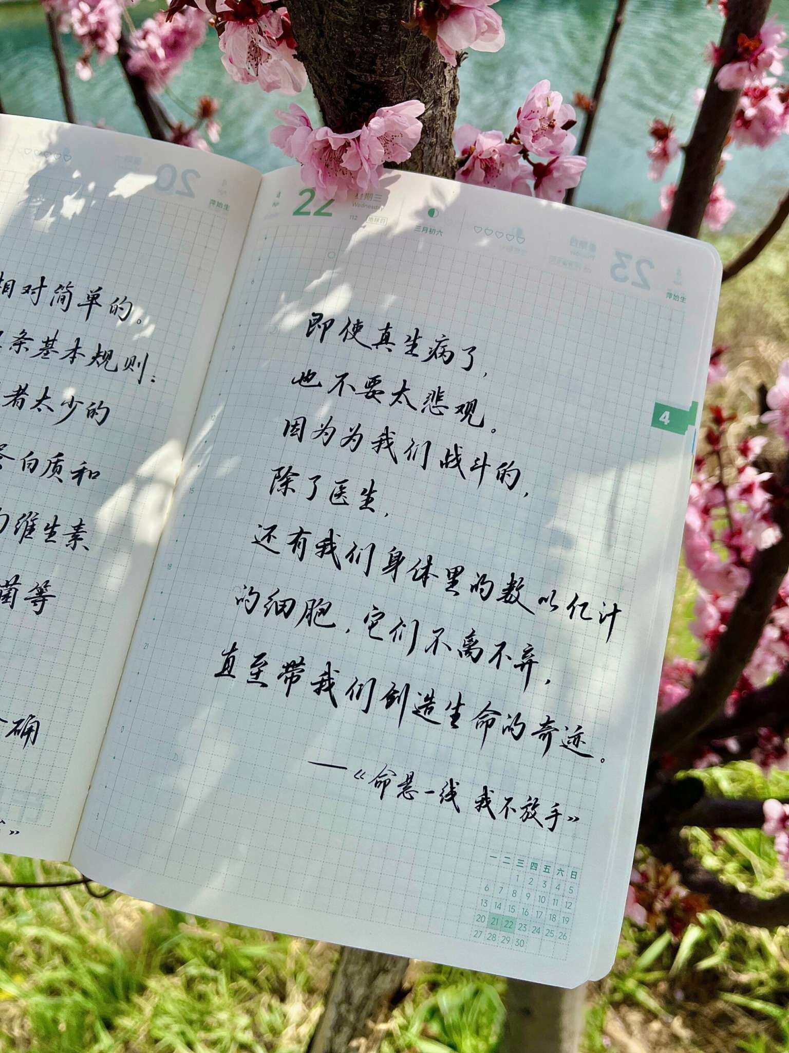 自在手帐2026年4月22日