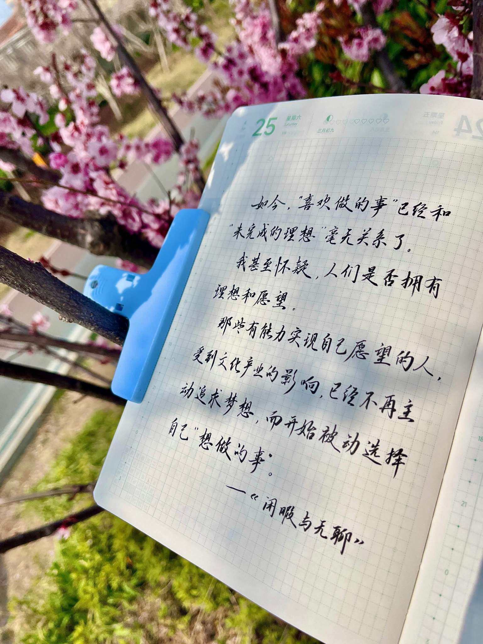 自在手帐2026年4月25日