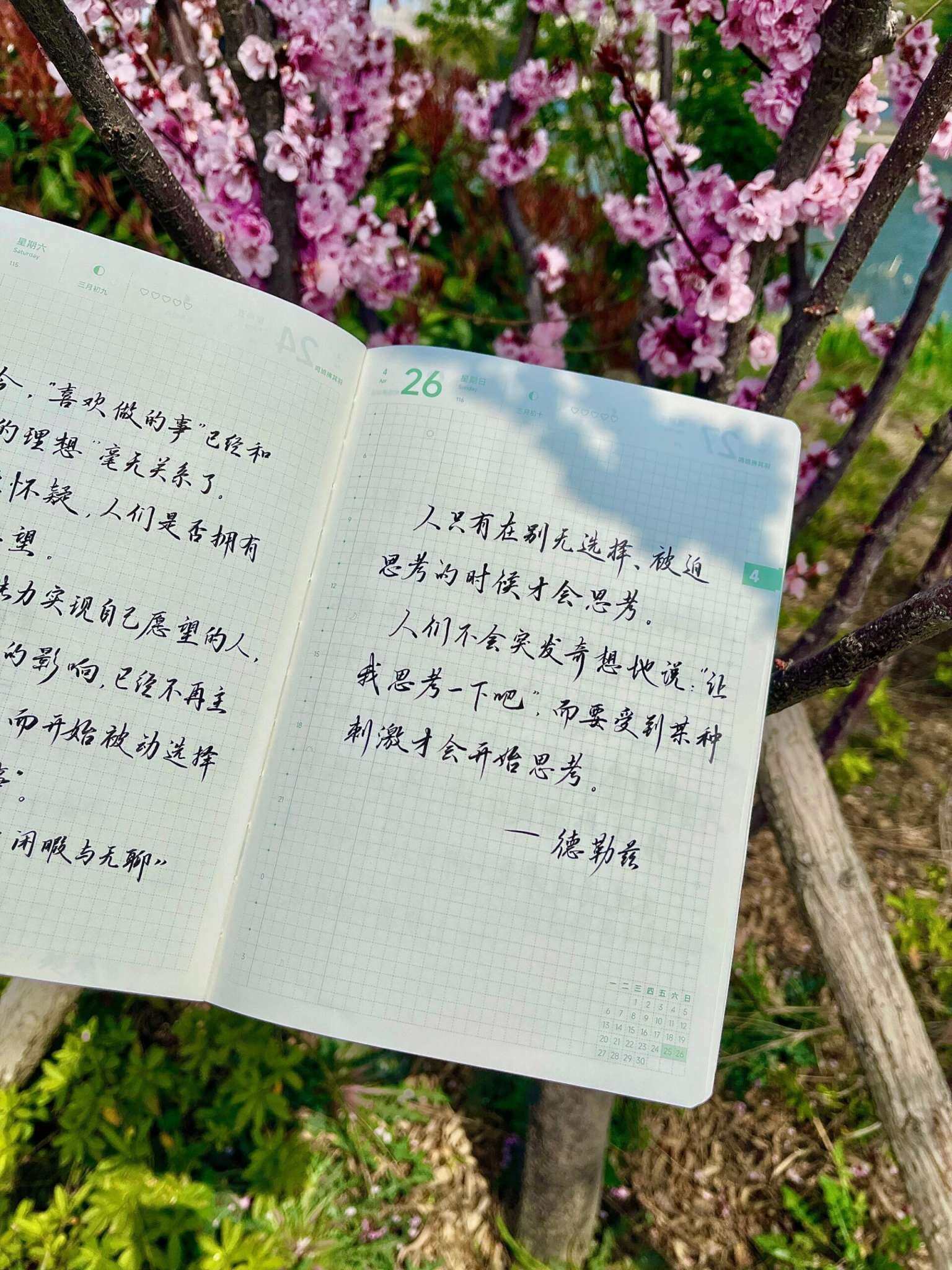 自在手帐2026年4月26日
