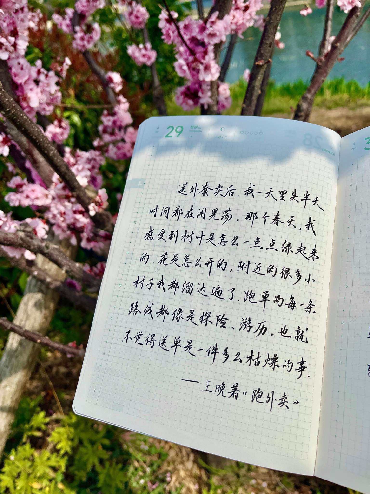 自在手帐2026年4月29日