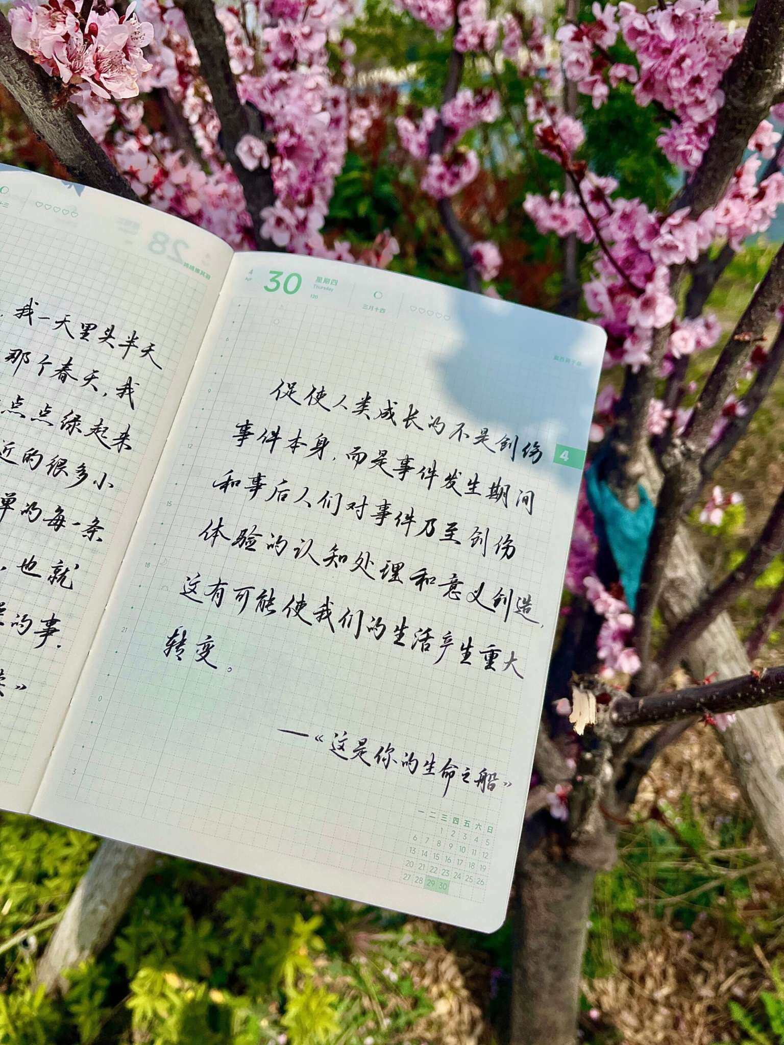自在手帐2026年4月30日