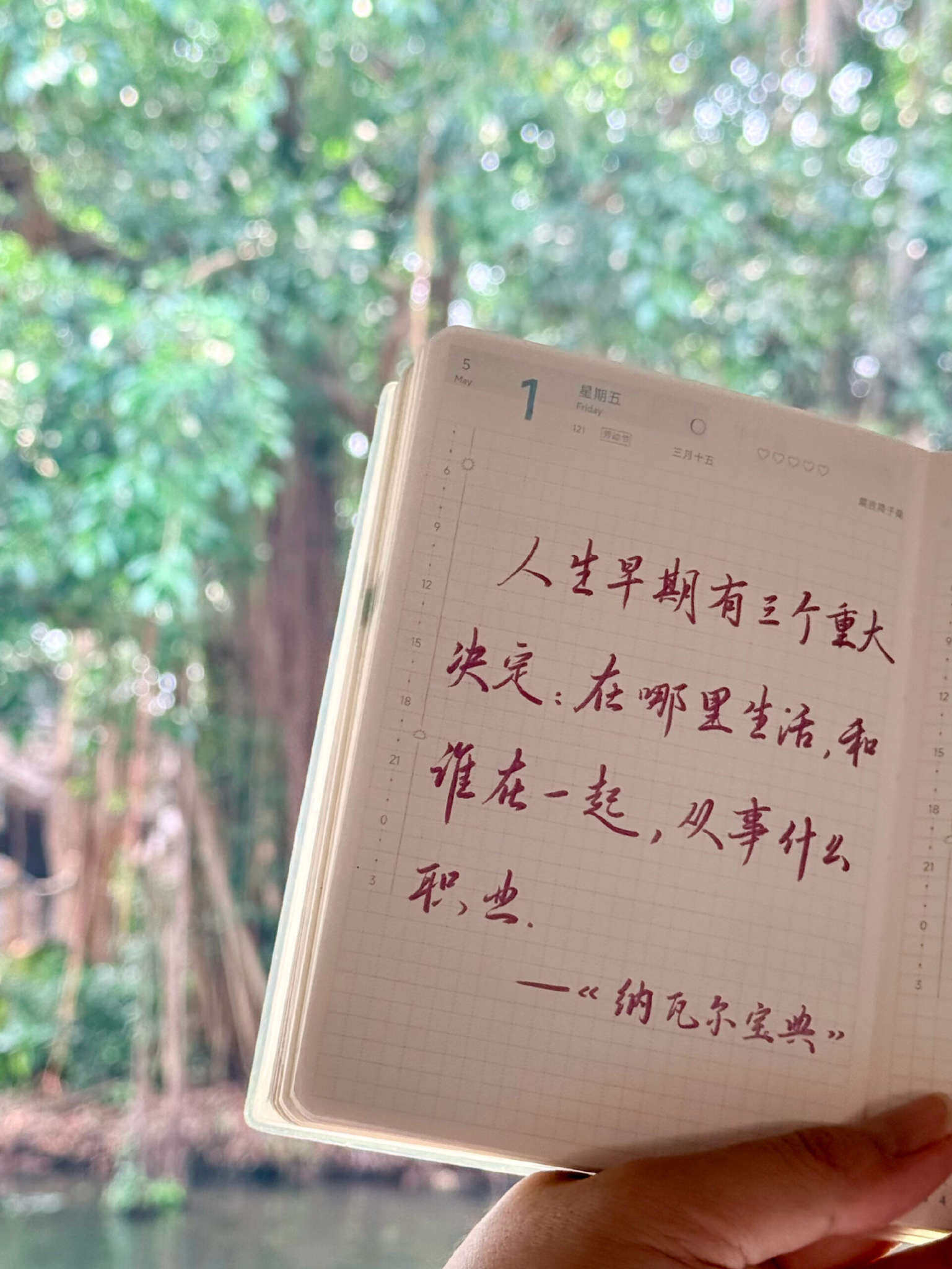 自在手帐2026年5月1日