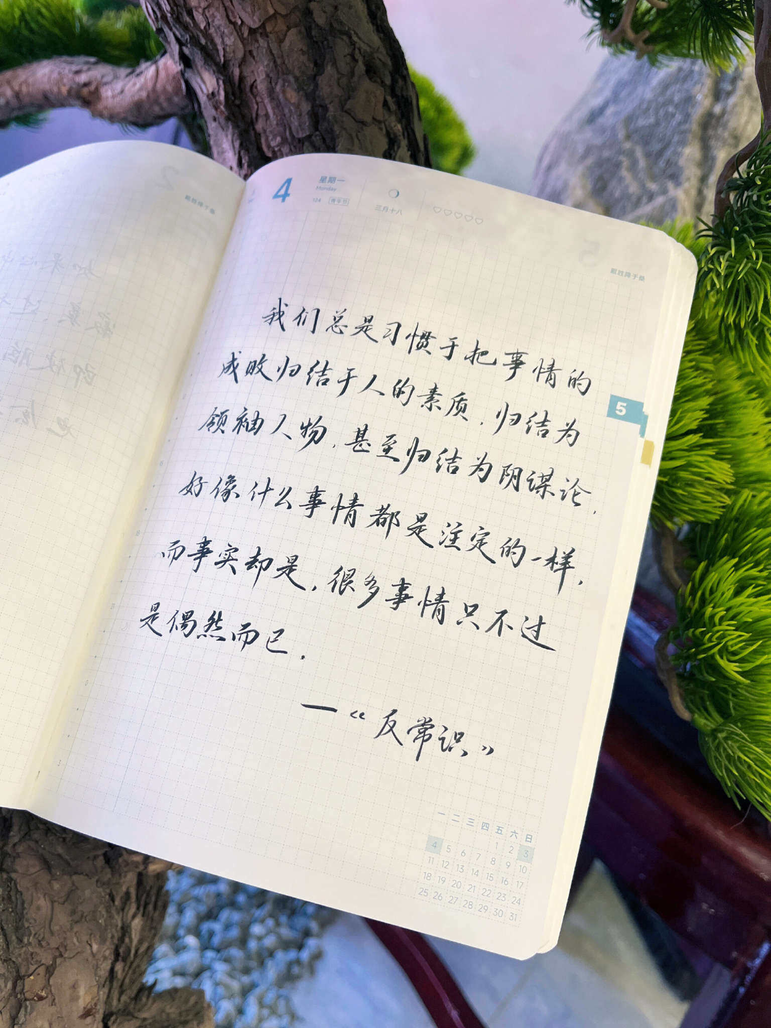 自在手帐2026年5月4日