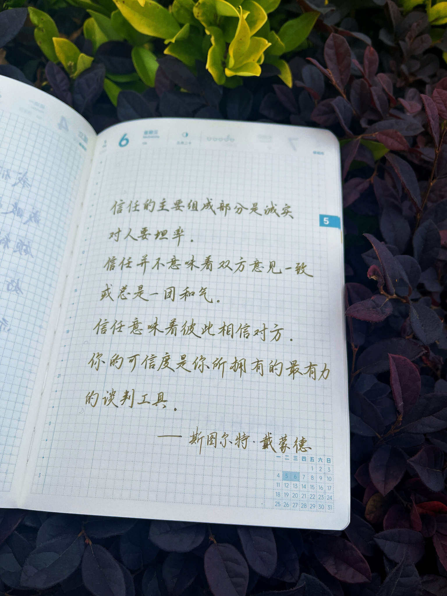 自在手帐2026年5月6日
