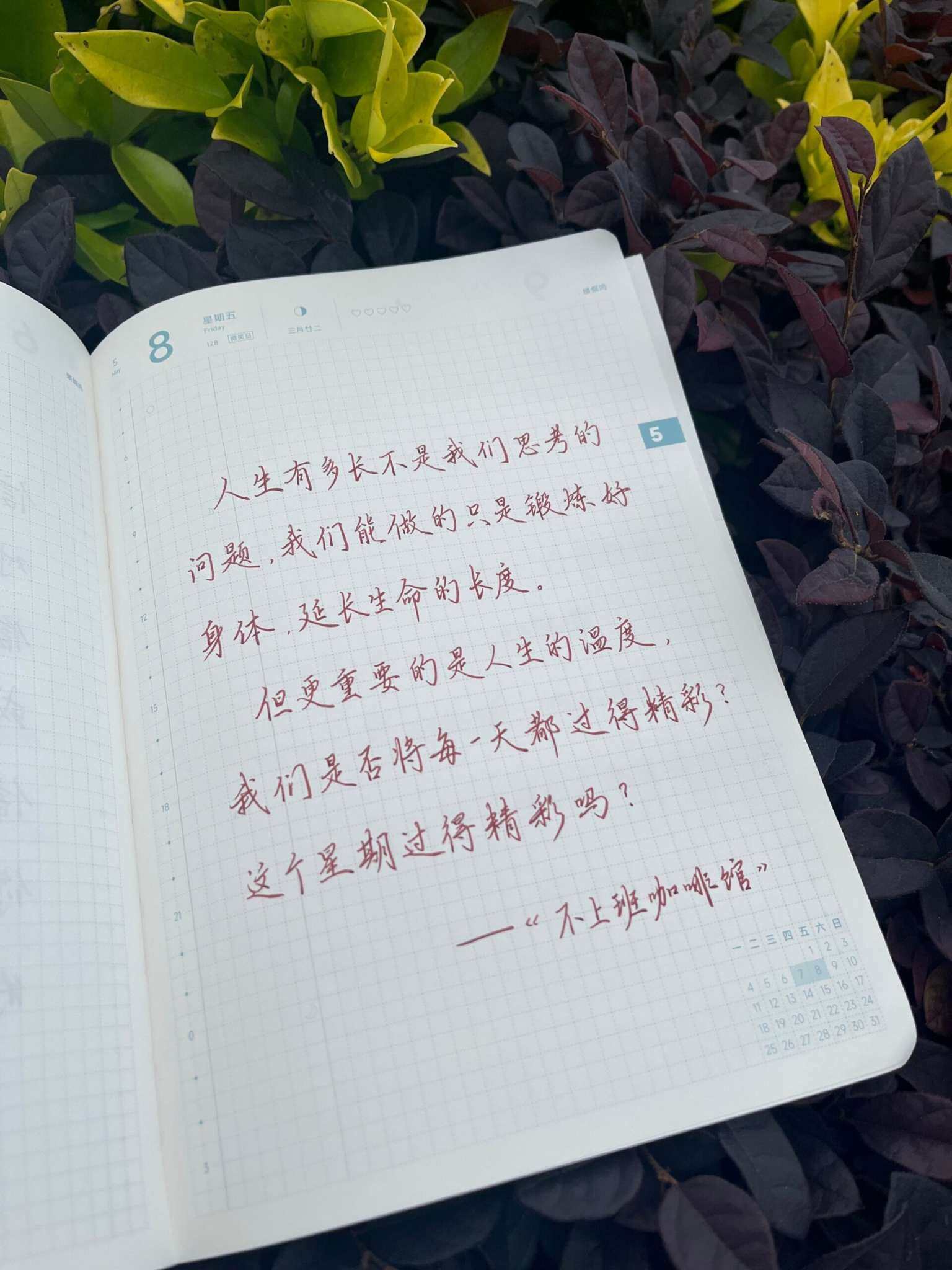自在手帐2026年5月8日