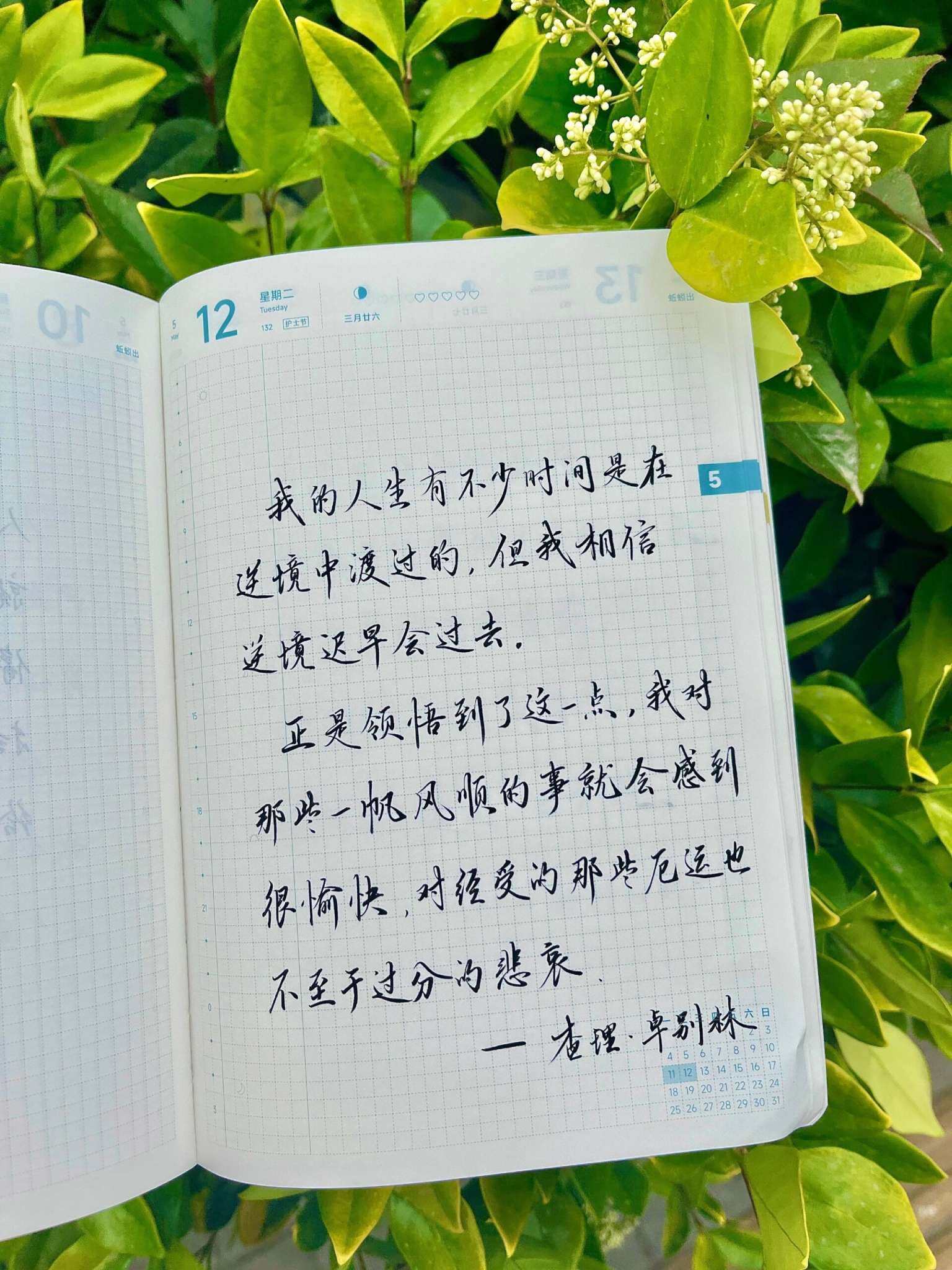 自在手帐2026年5月12日