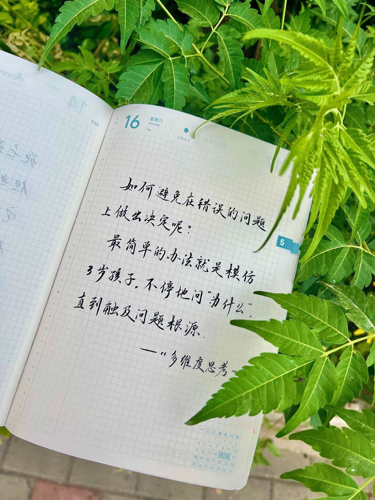 自在手帐2026年5月16日