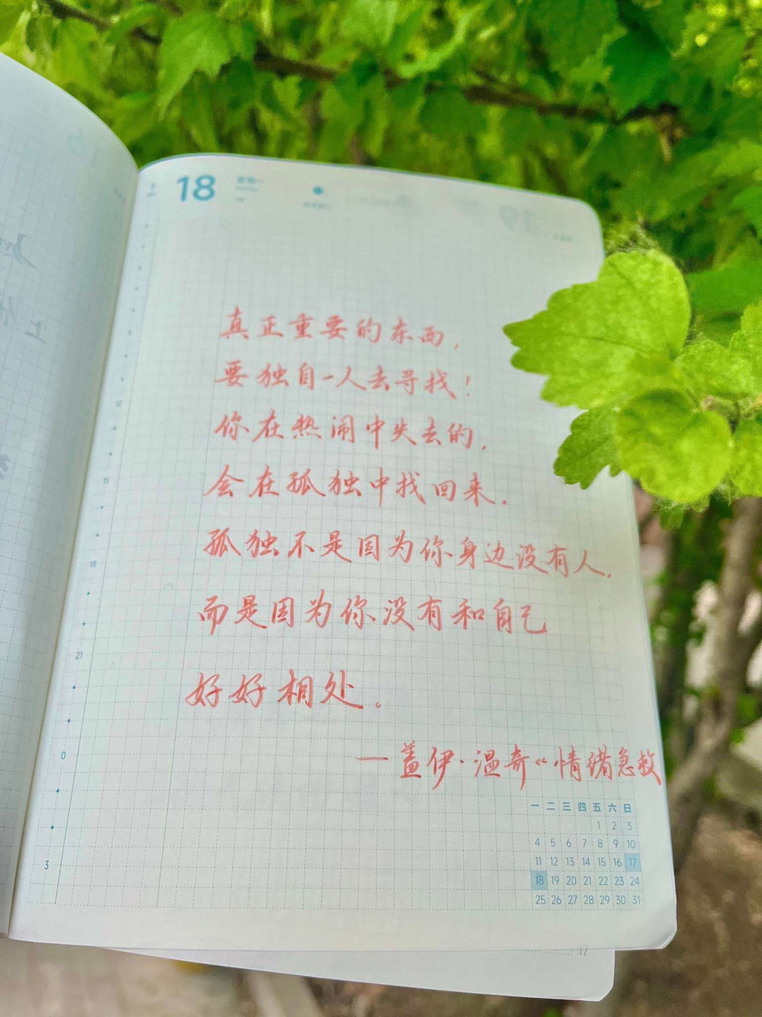 自在手帐2026年5月18日
