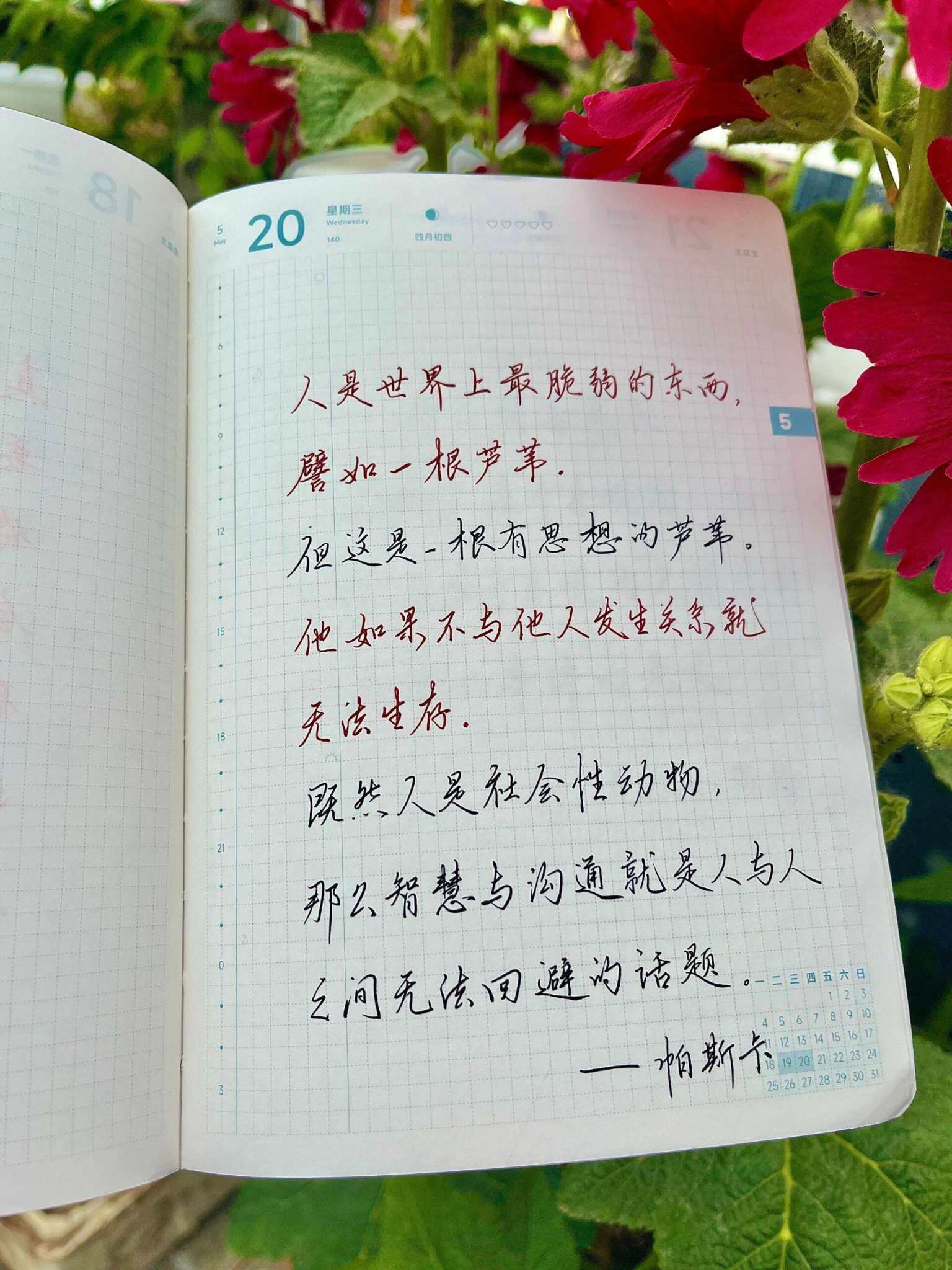 自在手帐2026年5月20日