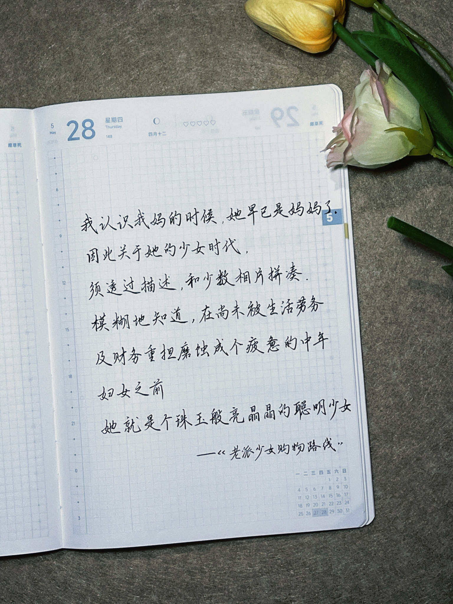 自在手帐2026年5月28日