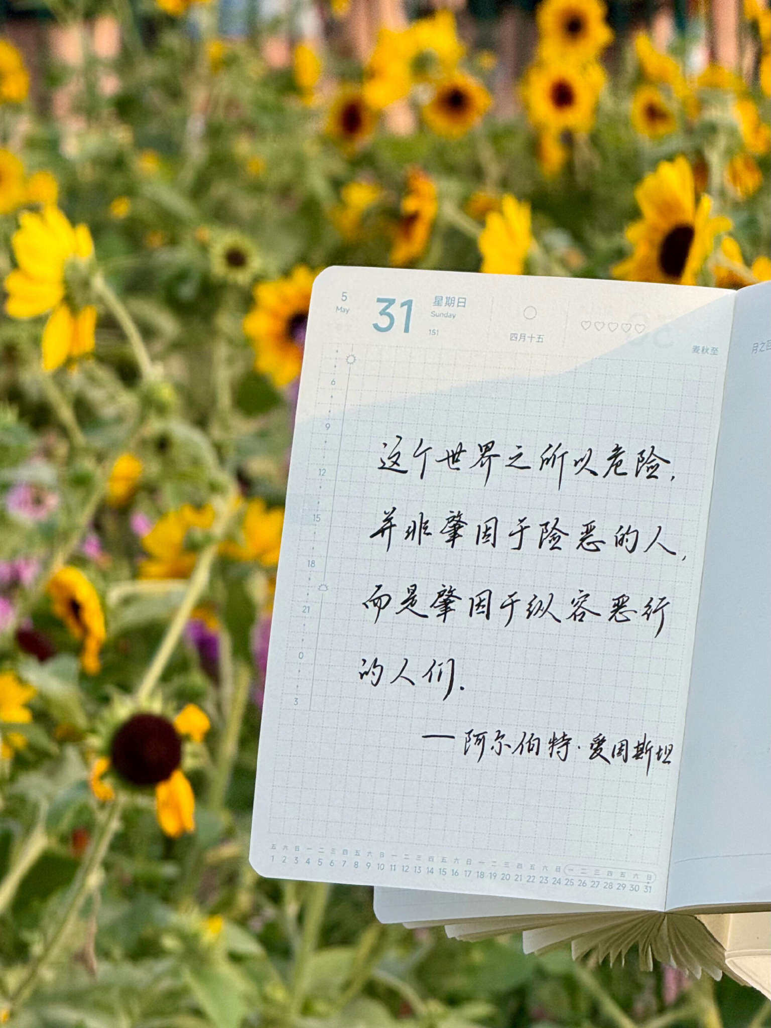 自在手帐2026年5月31日