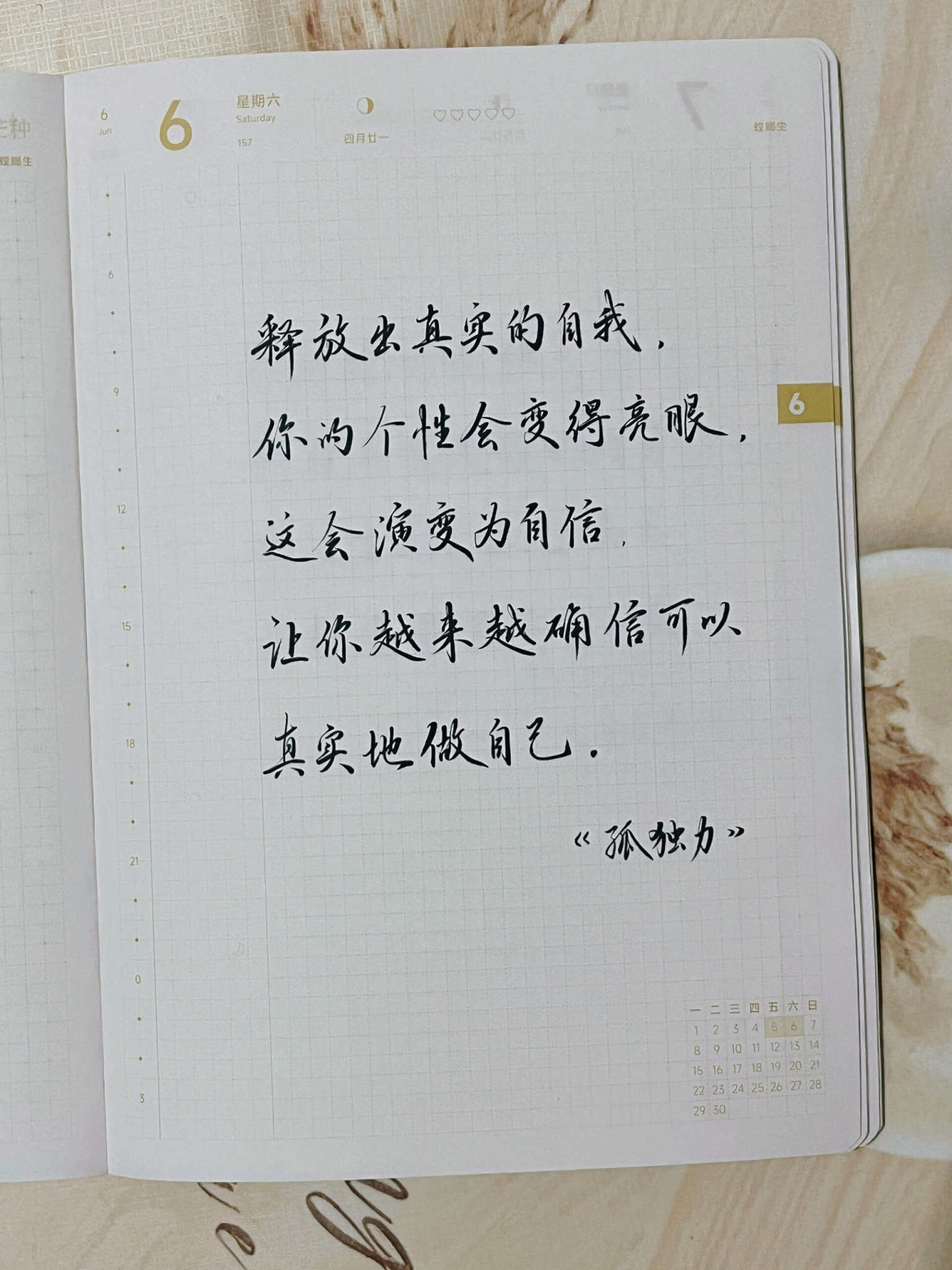 自在手帐2026年6月6日